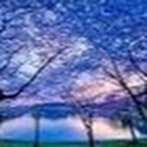 Meet your Posher, Cassie